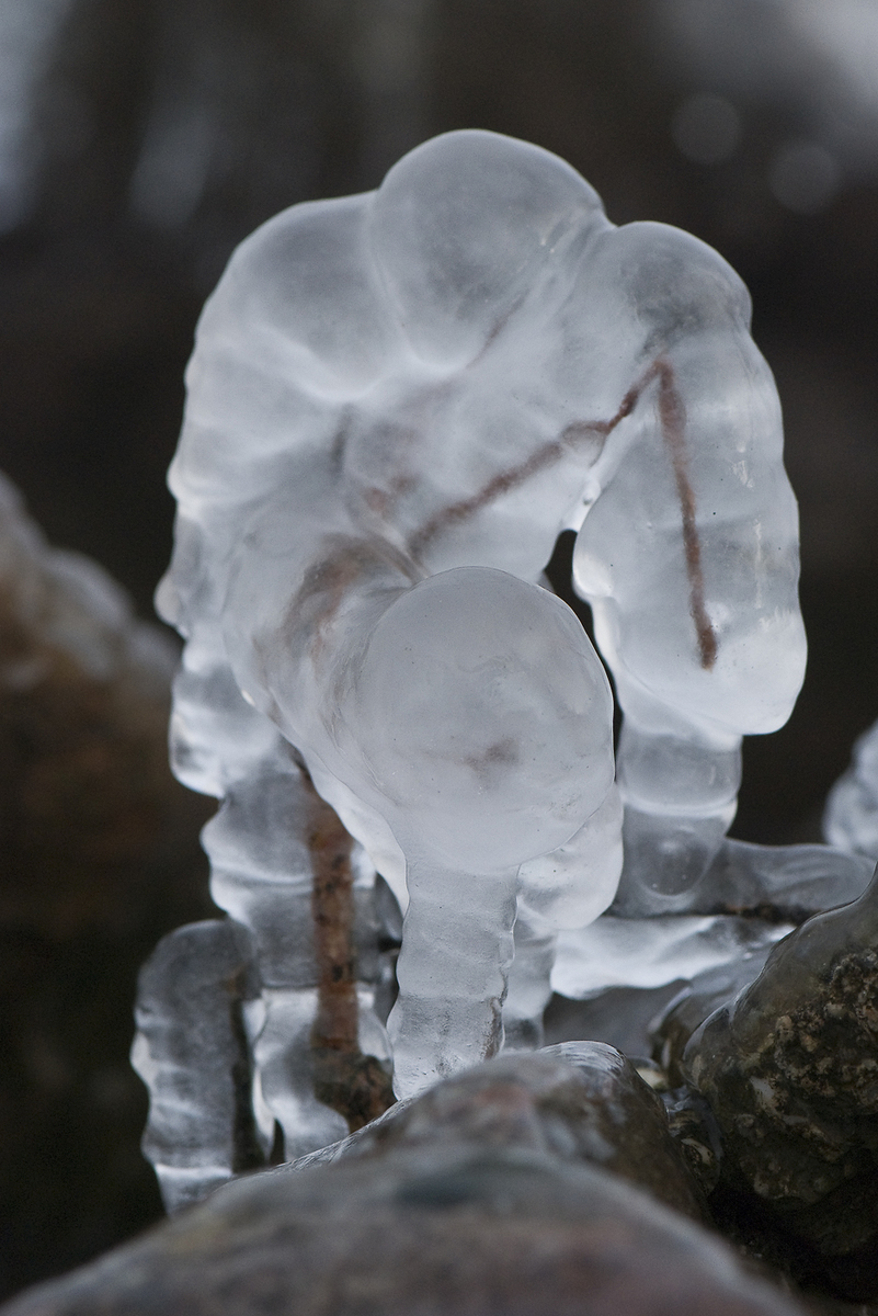 Gaál Zoltán Péter