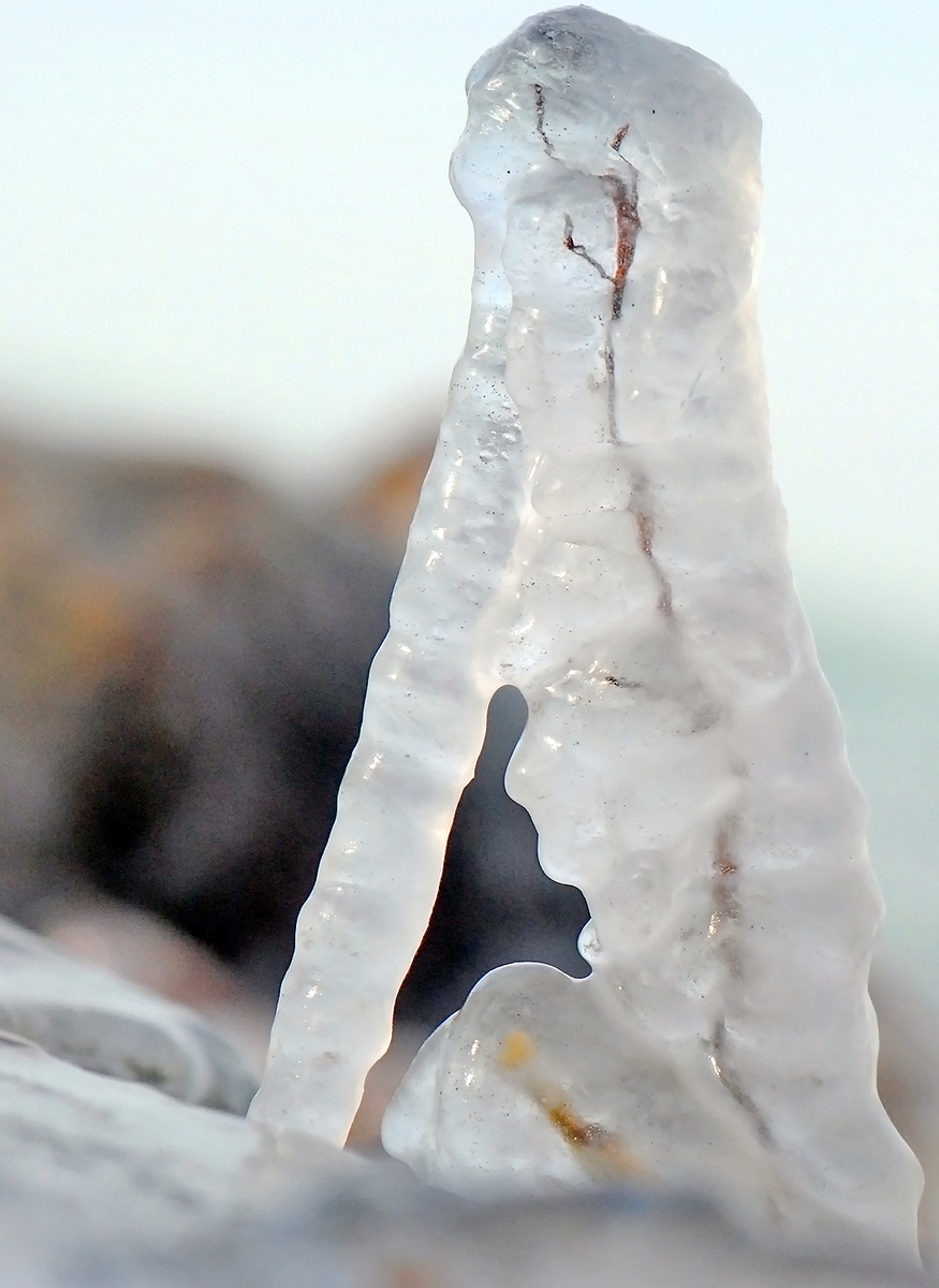 Gaál Zoltán Péter