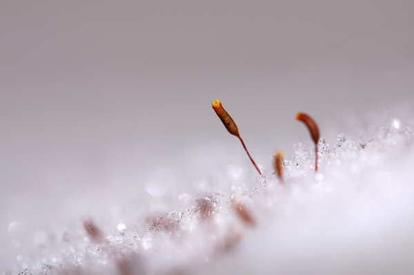 Kristályok között