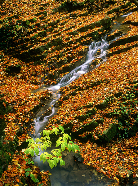 Ferde lépcsõs vízesés