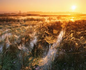 Szeptemberi hajnal Szeptemberi hajnal