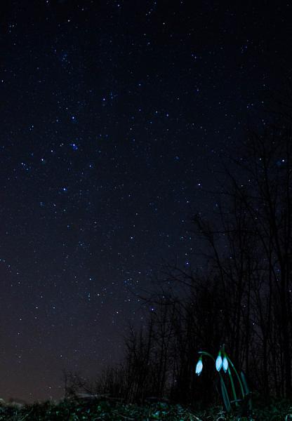 Tavaszváró éjszaka