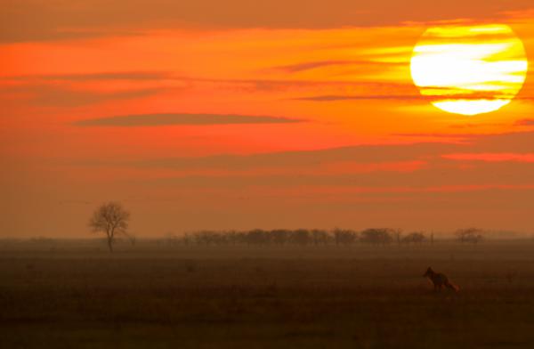 Mielőtt lemegy a nap