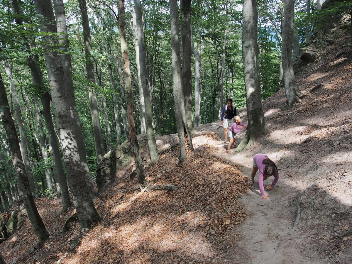 Gergely Beatrix Katalin