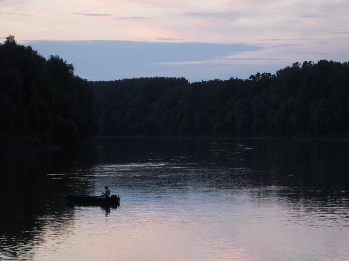 Koncz-Bisztricz Tamás