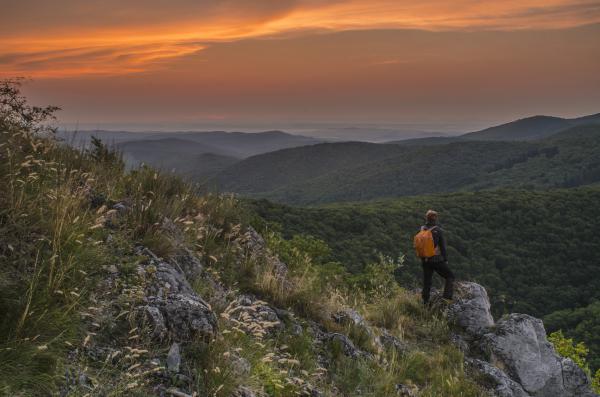 Egy forró nyári reggelen