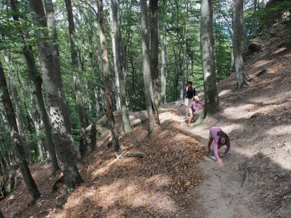 Négykézláb (is) Dobogókőn