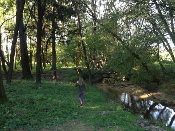 Napsütéses ősz az Őrségben