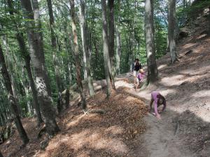 Négykézláb (is) Dobogókőn Négykézláb (is) Dobogókőn