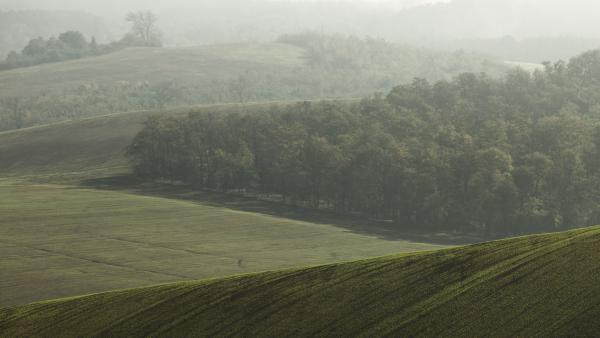 Hullámzás a ködben