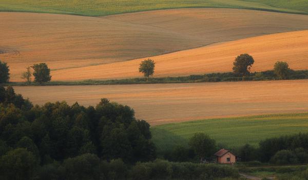 Utolsó simogató fények
