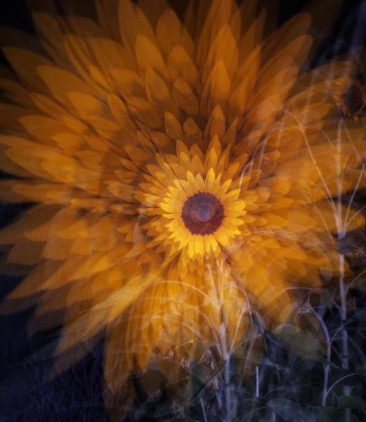 Egyszer nagy leszek?!