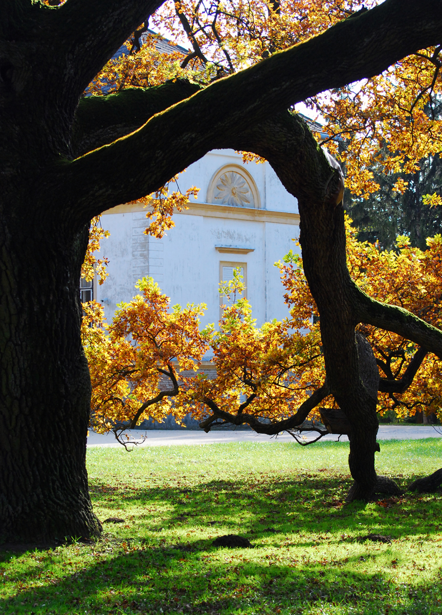 Gaál Zoltán Péter