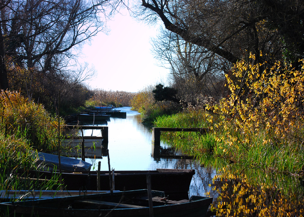 Gaál Zoltán Péter