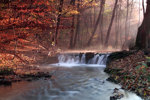 Szalajka völgy hajnalban 