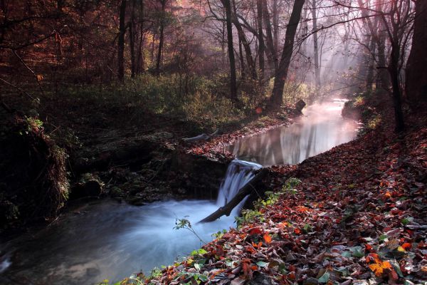 Őszi hajnal Szalajka völg