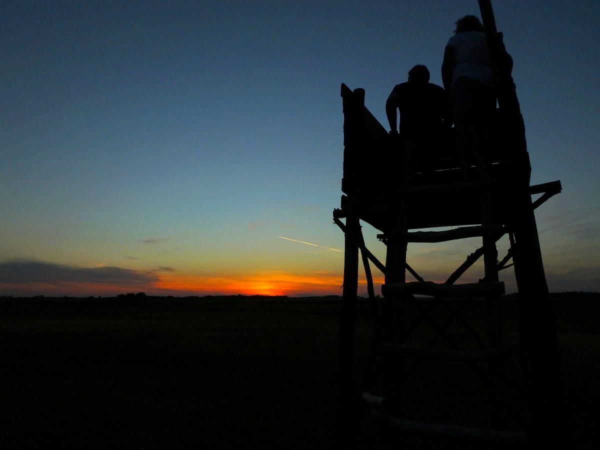 Koncz-Bisztricz Tamás