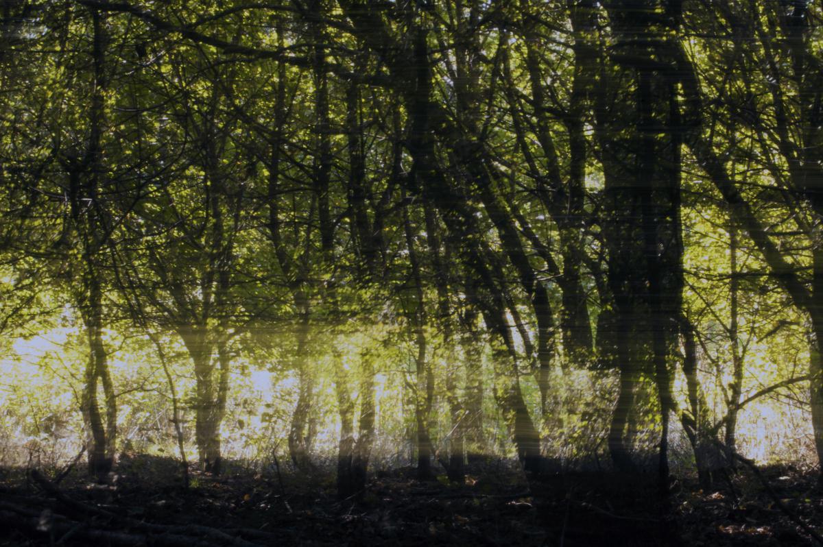 Berkesi Ágota Mirjam