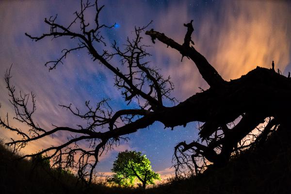 Élet a halálon túl