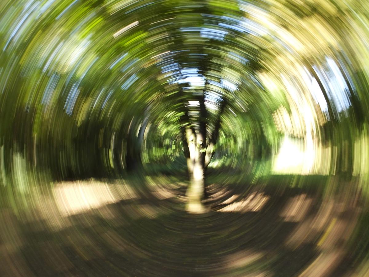 Koncz-Bisztricz Tamás