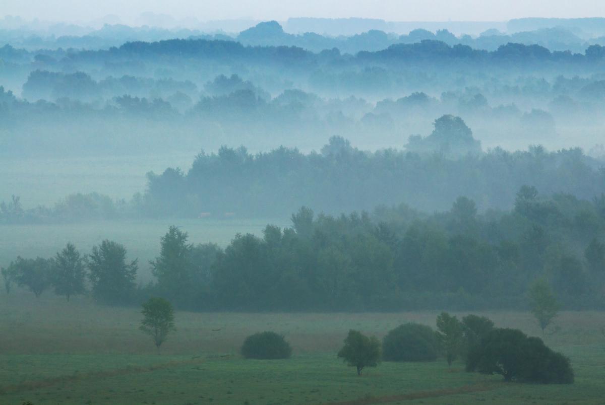 Erdélyiné Csorba Edit