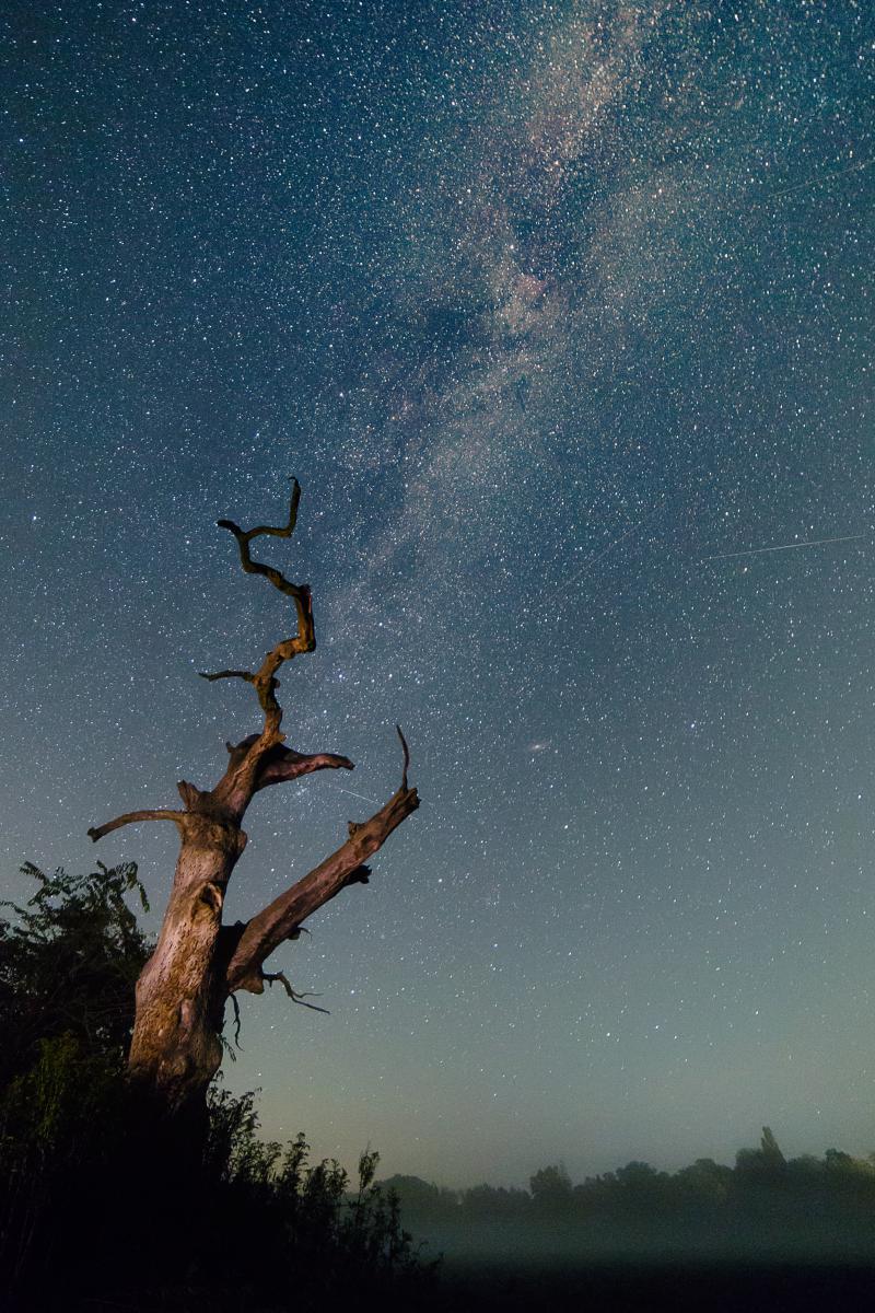 Erdélyiné Csorba Edit