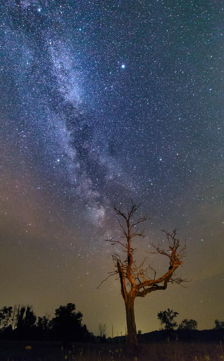 Erdélyiné Csorba Edit