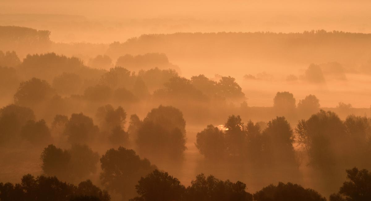 Erdélyiné Csorba Edit