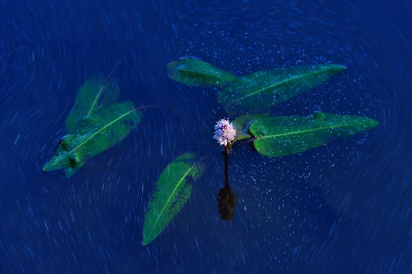 Az idő sodrásában