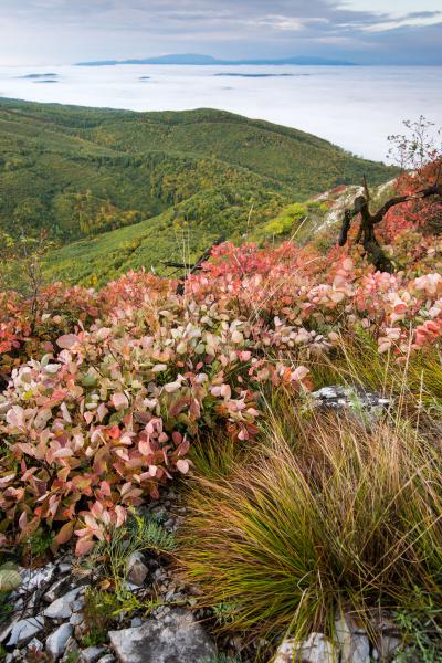 Panoráma a Bél-kőről
