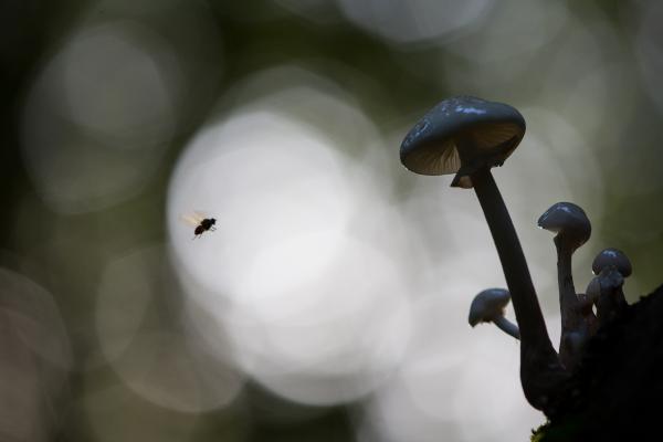 Reggel fotózás. Ott légy!