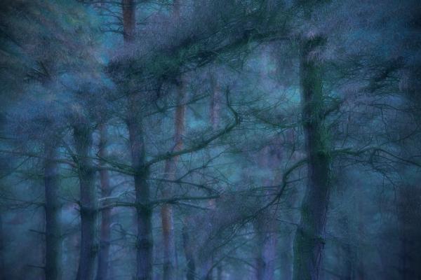 Elvarázsolt táncosok