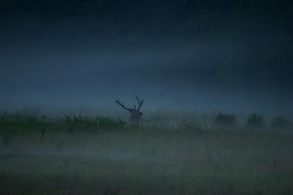 Kalmár Lajos Gábor
