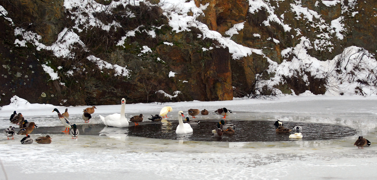 Gaál Zoltán Péter
