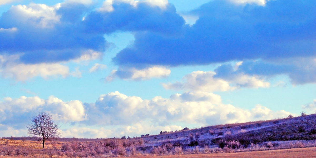 Gaál Zoltán Péter