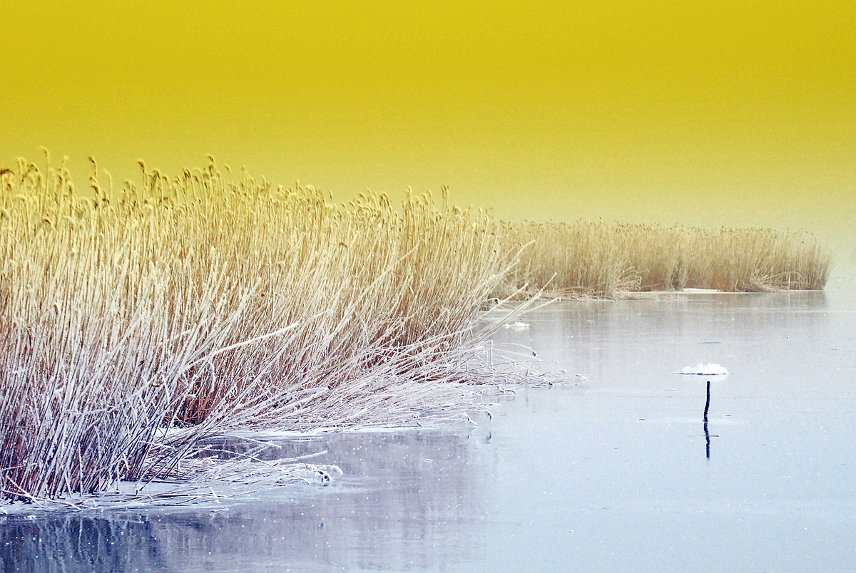 Gaál Zoltán Péter