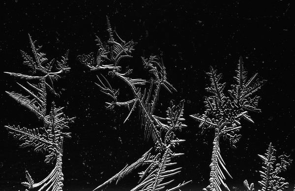 Jégvirágok hóesésben