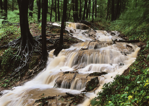 2010 májusa a Mecsekben