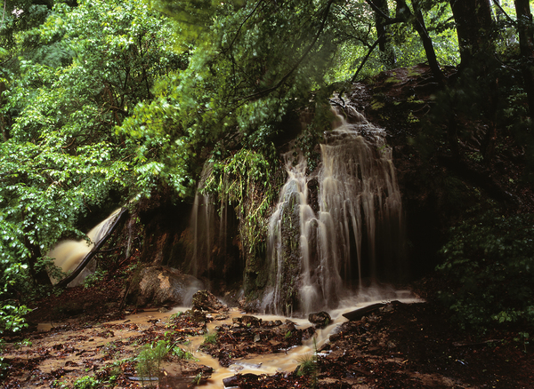 Májusi esõ aranyat ér...