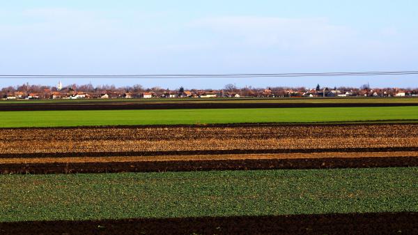 Gursky után szabadon