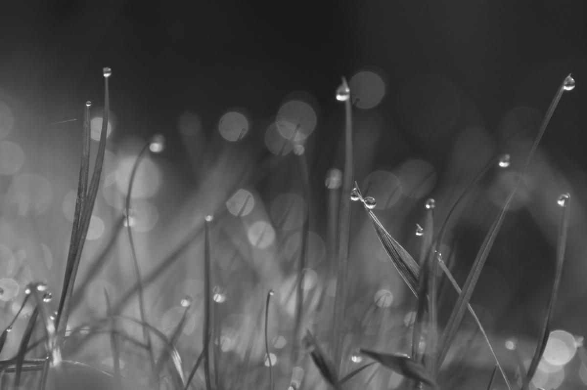 Berkesi Ágota Mirjam