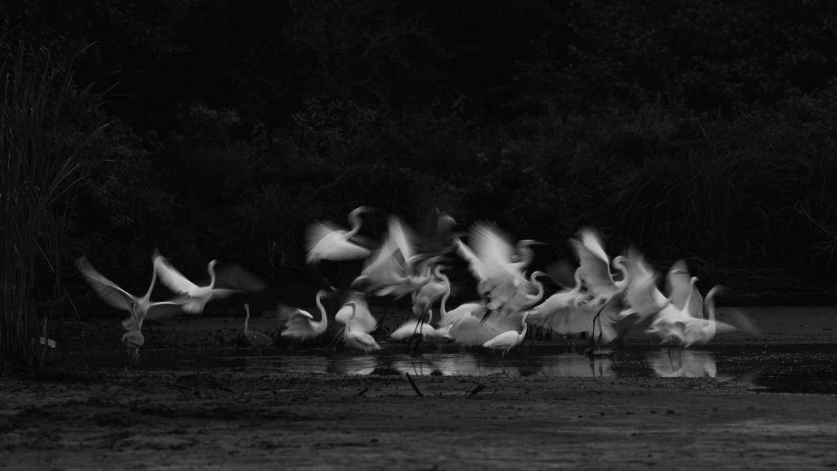 Násfayné Kőházi Mária