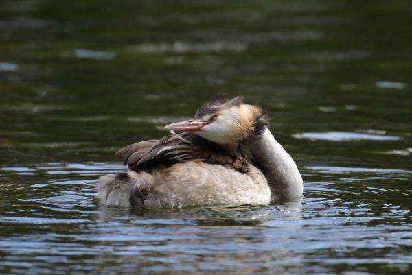 &quot;Karbantartás&quot;