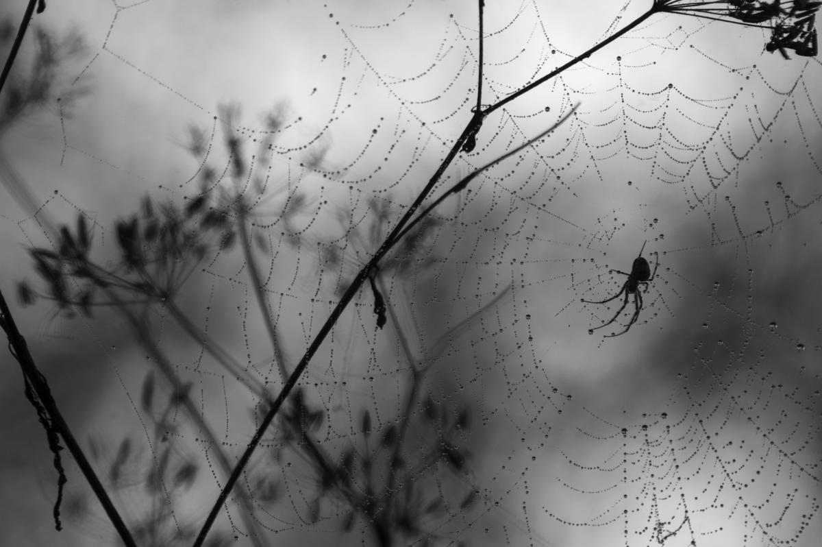 Berkesi Ágota Mirjam