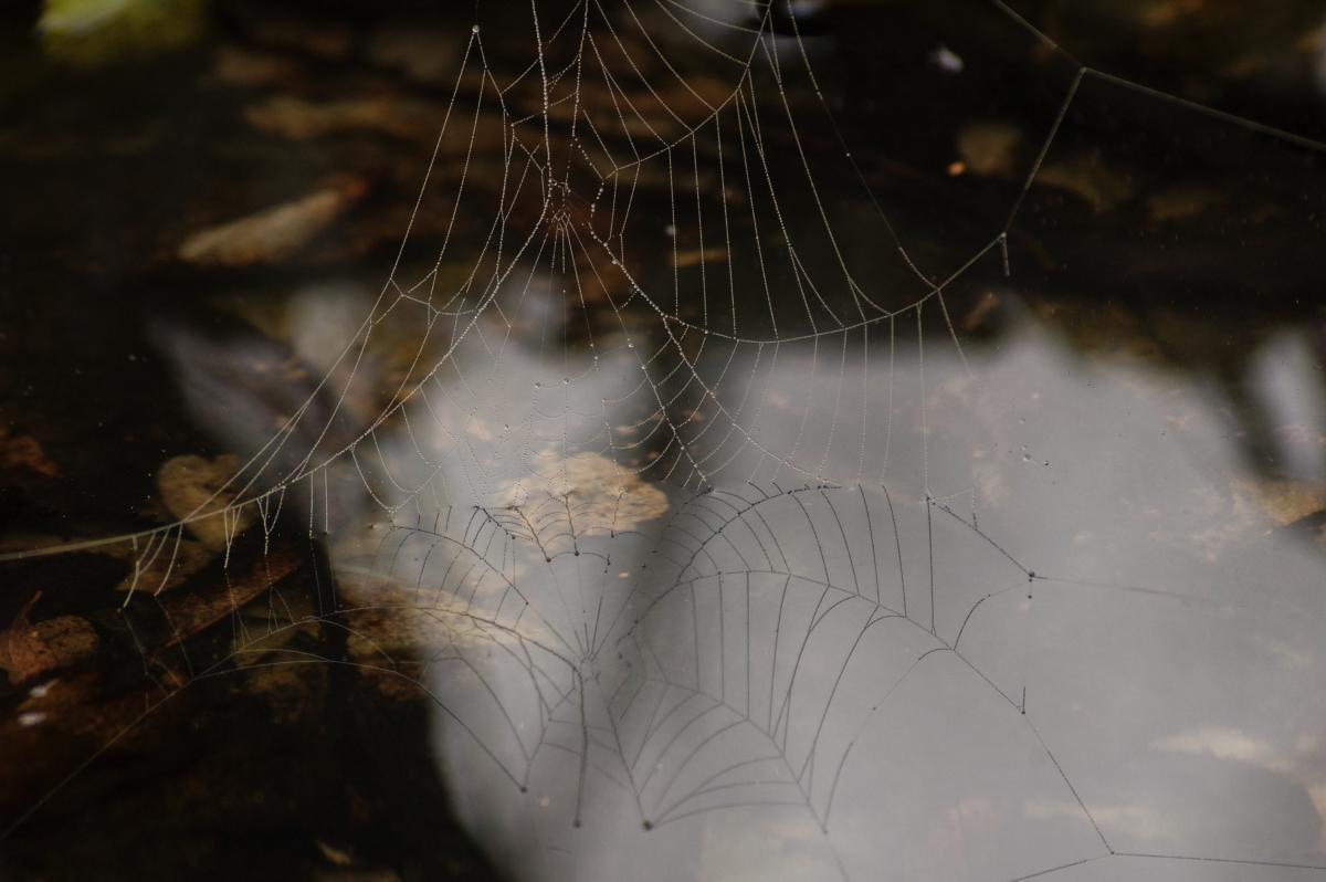 Berkesi Ágota Mirjam