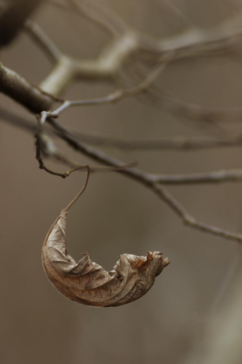 Berkesi Ágota Mirjam