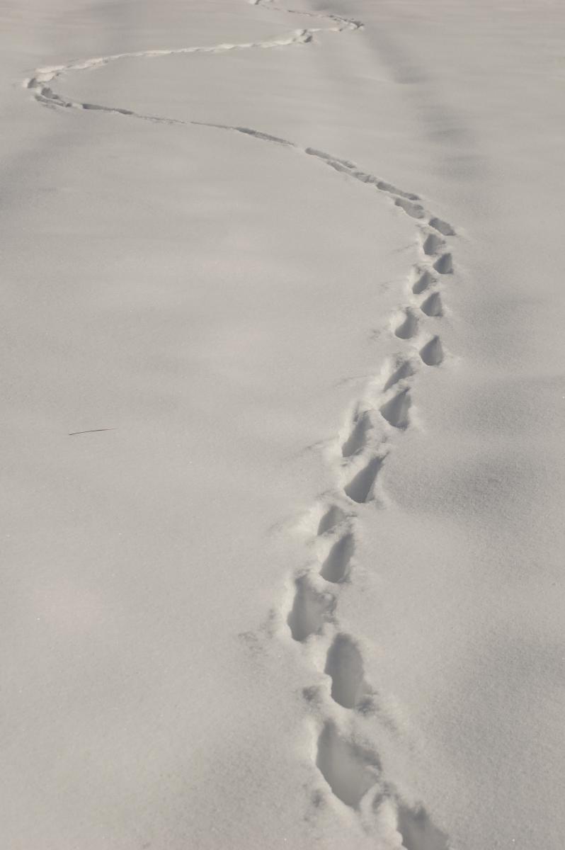 Berkesi Ágota Mirjam