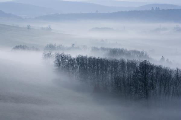 Köd szülte szénrajz