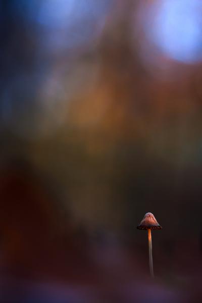 Színekbe takarózó kalapos