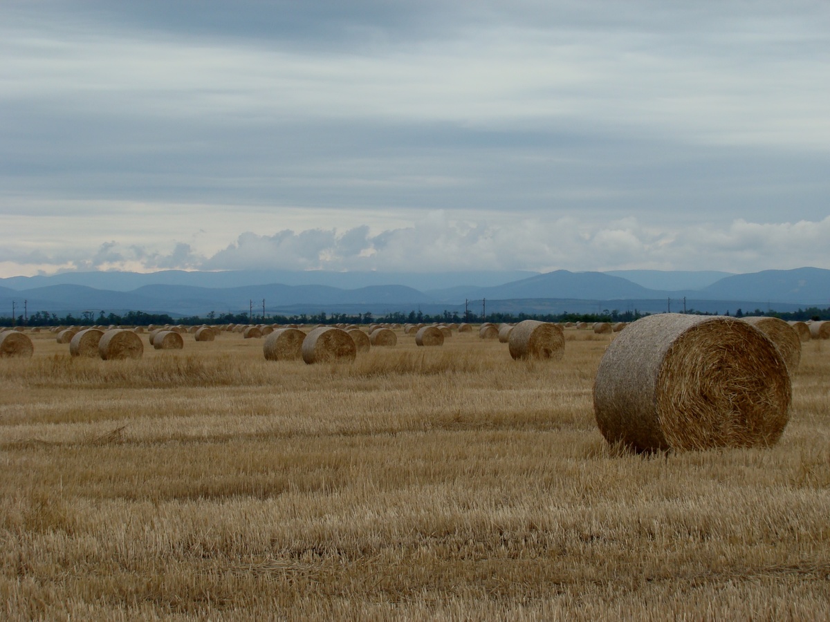Laczkó-Magyar György